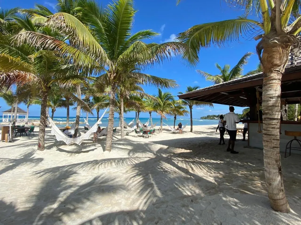 Hospitality Expert Bts 3 - Pool Beach & Bar Montego Bay Inn